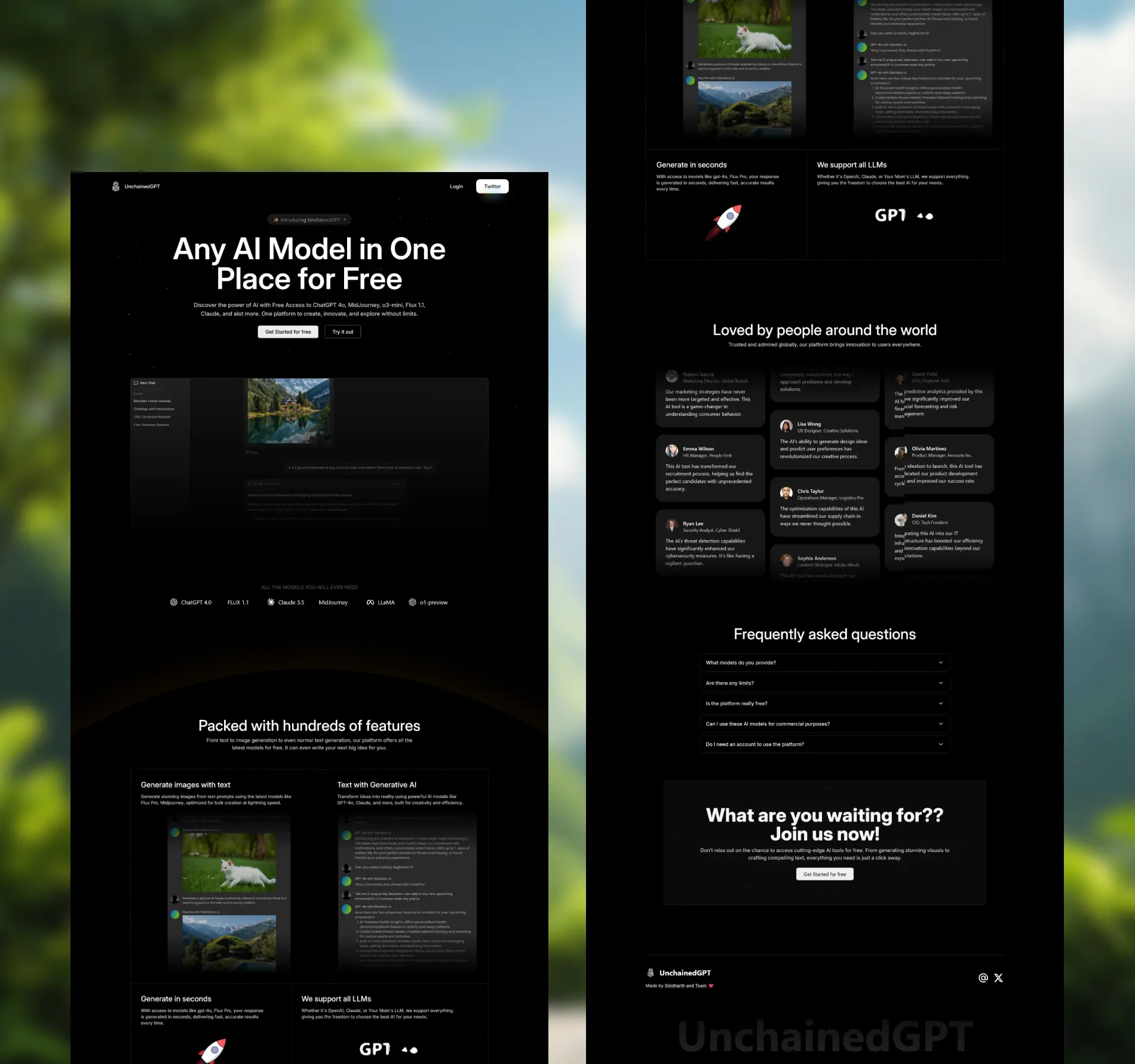 Portfolio item 1